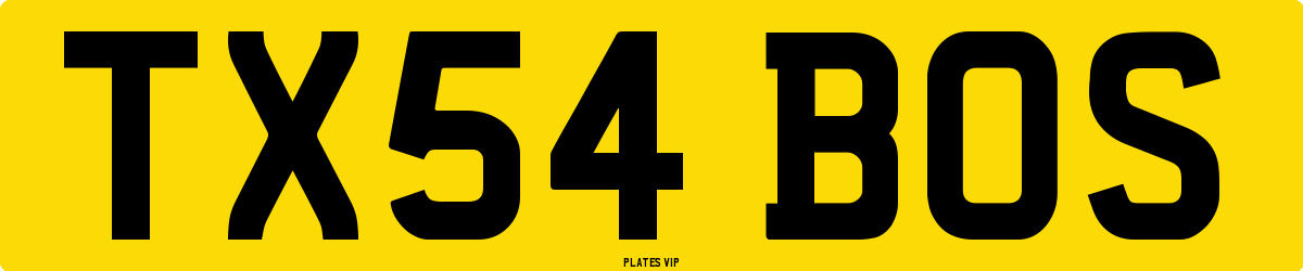 TX54 BOS Number Plate