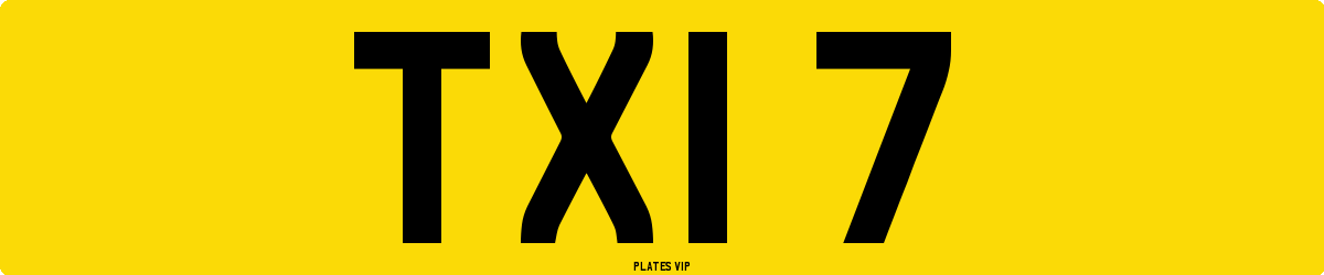 TXI 7 Number Plate