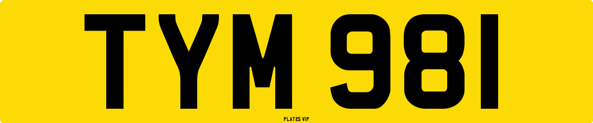 TYM 981 Number Plate