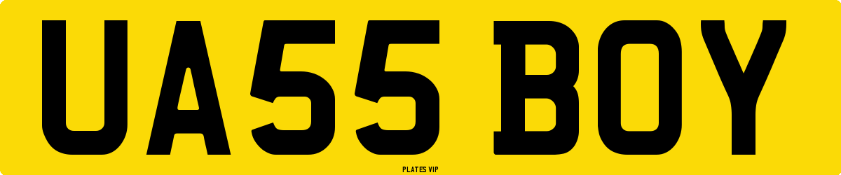 UA55 BOY Number Plate