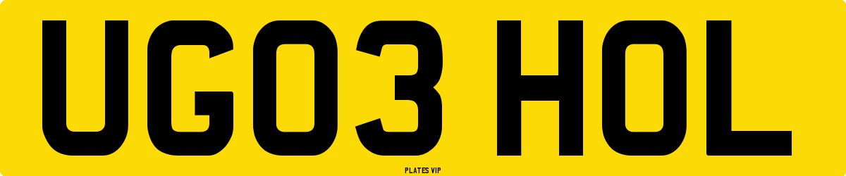 UG03 HOL Number Plate