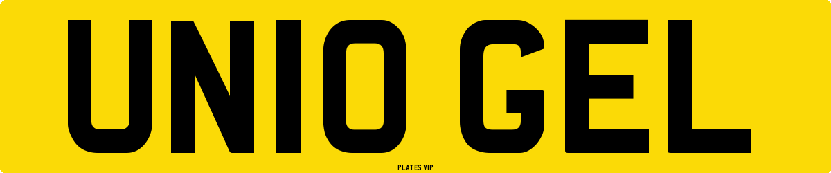 UN10 GEL Number Plate