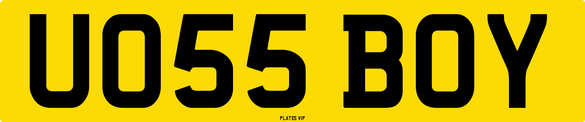 UO55 BOY Number Plate