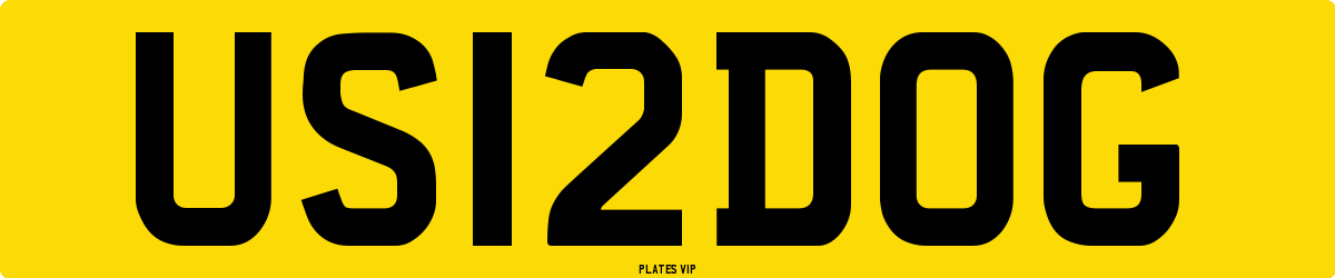US 12 DOG Number Plate