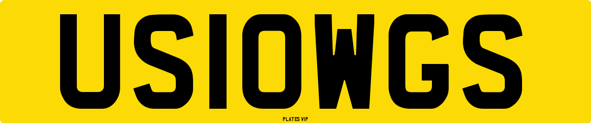 US10WGS Number Plate