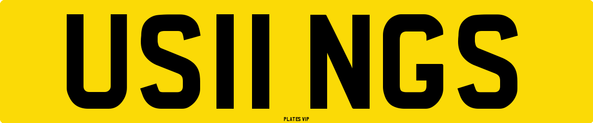 US11 NGS Number Plate