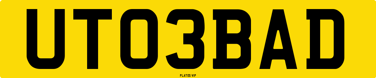 UT 03 BAD Number Plate