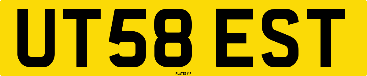 UT58 EST Number Plate