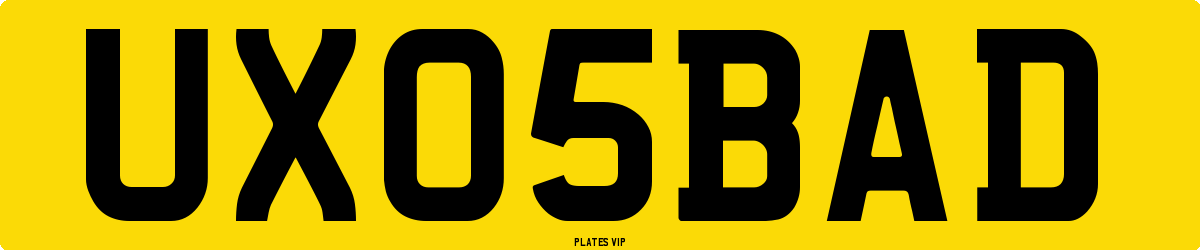UX 05 BAD Number Plate