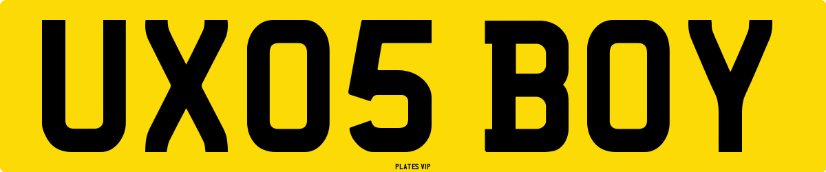UX05 BOY Number Plate