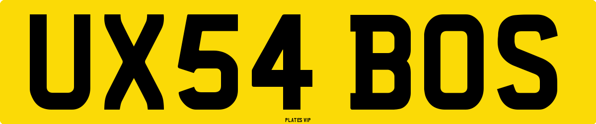 UX54 BOS Number Plate