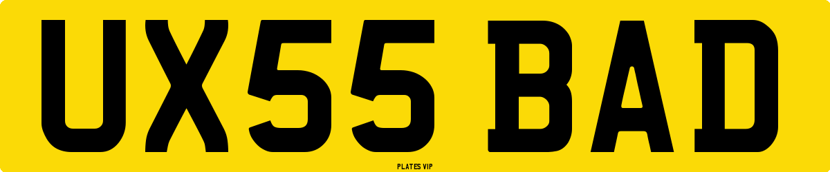 UX55 BAD Number Plate