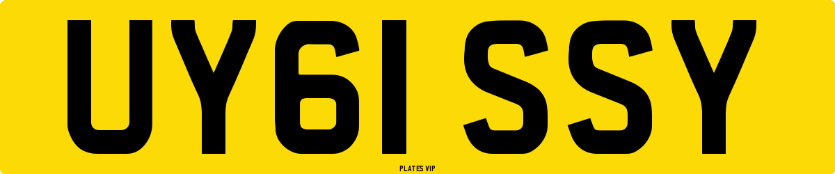 UY61 SSY Number Plate