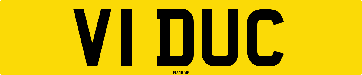 V1 DUC Number Plate