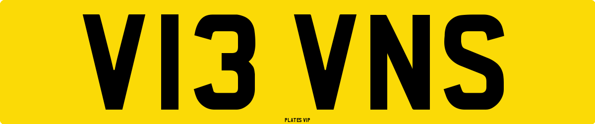 V13 VNS Number Plate