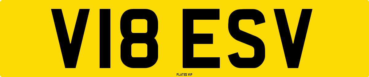 V18 ESV Number Plate
