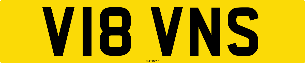 V18 VNS Number Plate
