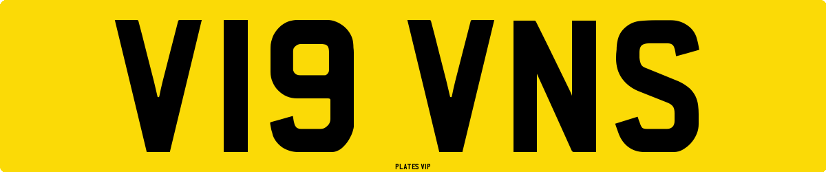 V19 VNS Number Plate