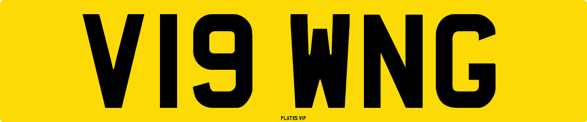 V19 WNG Number Plate