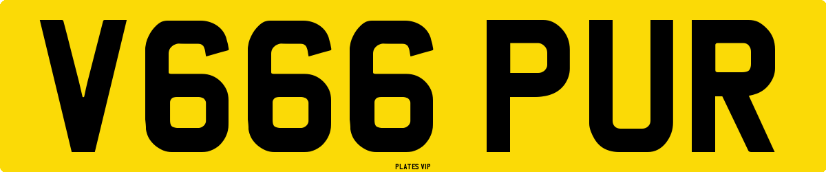V666 PUR Number Plate