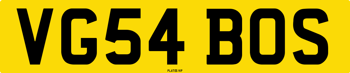 VG54 BOS Number Plate