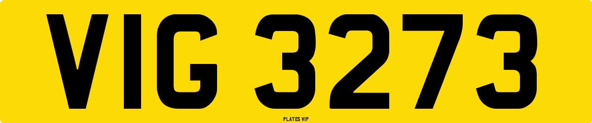 VIG 3273 Number Plate
