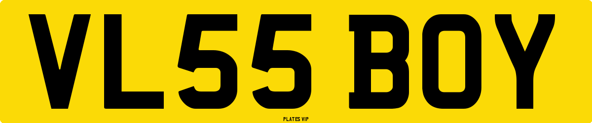 VL55 BOY Number Plate