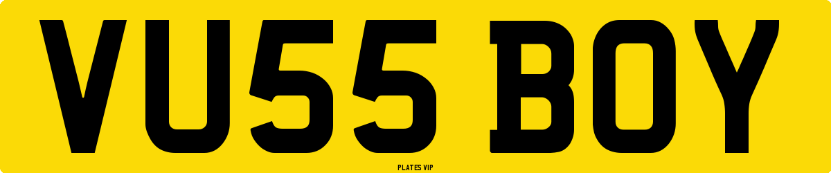 VU55 BOY Number Plate