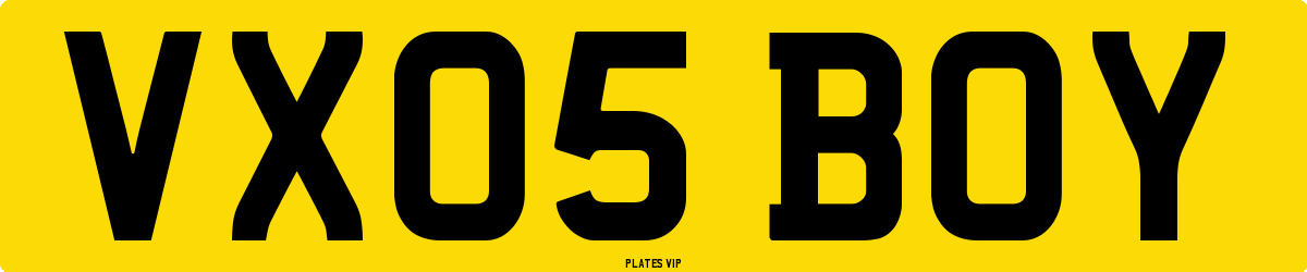 VX05 BOY Number Plate