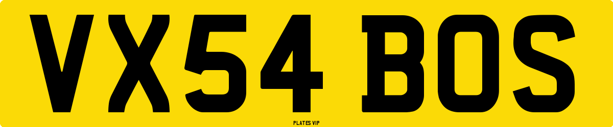 VX54 BOS Number Plate