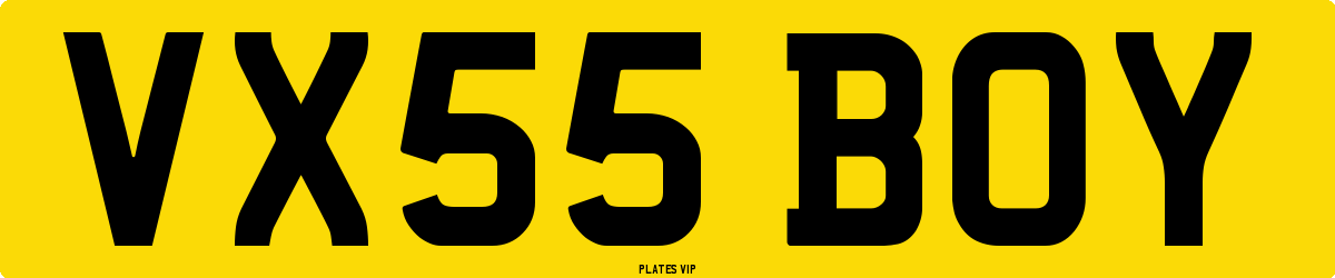 VX55 BOY Number Plate