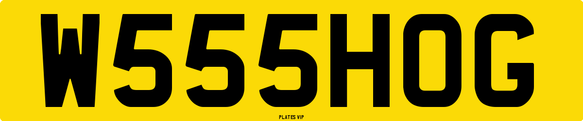 W 555 HOG Number Plate