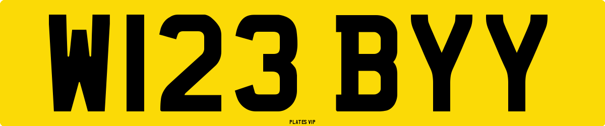 W123 BYY Number Plate