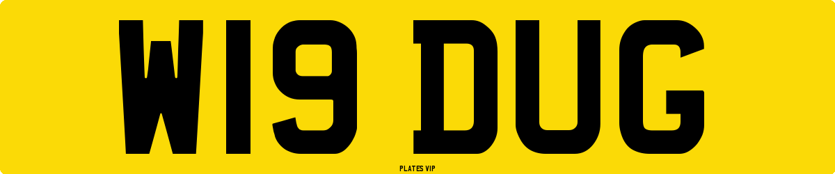 W19 DUG Number Plate