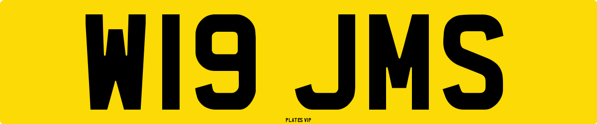 W19 JMS Number Plate