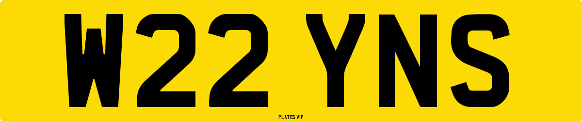 W22 YNS Number Plate