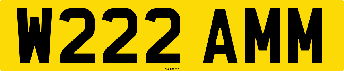 W222 AMM Number Plate
