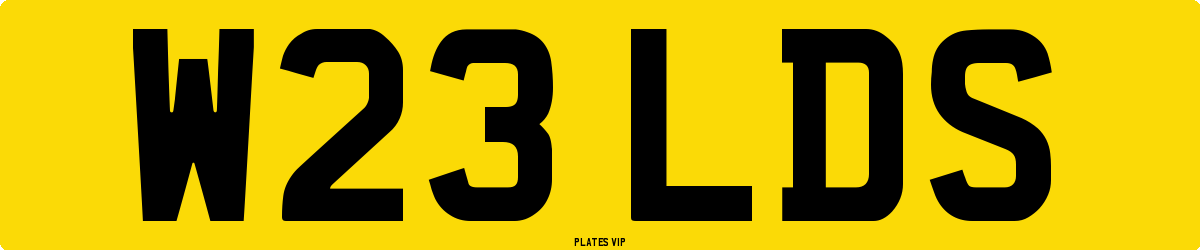 W23 LDS Number Plate