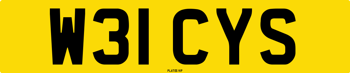 W31 CYS Number Plate