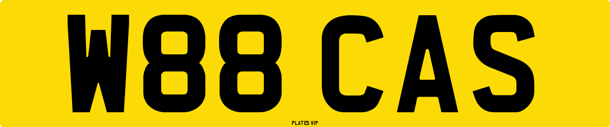 W88 CAS Number Plate