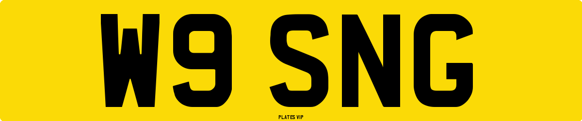 W9 SNG Number Plate