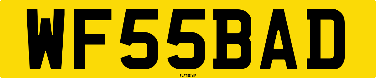 WF 55 BAD Number Plate