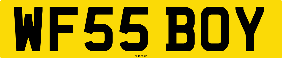 WF55 BOY Number Plate