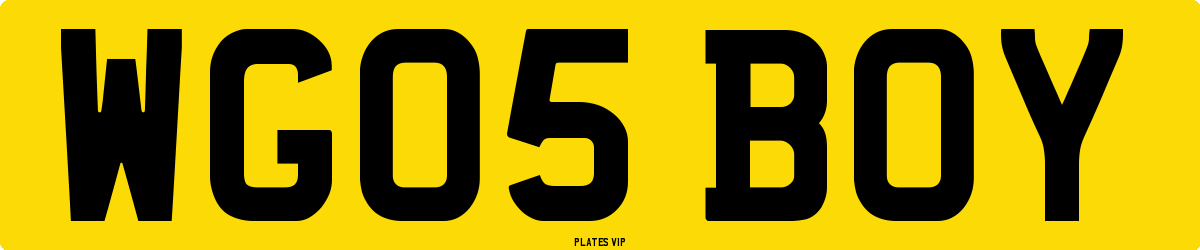 WG05 BOY Number Plate
