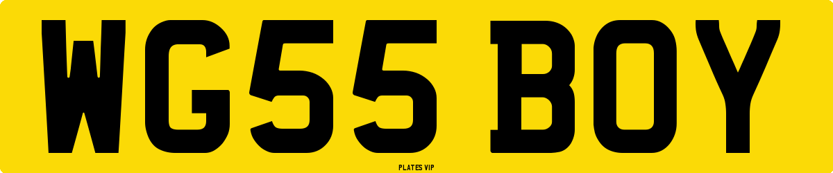 WG55 BOY Number Plate