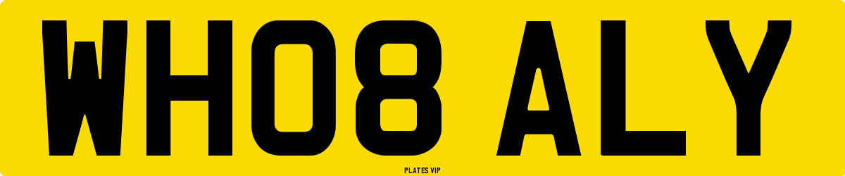 WH08 ALY Number Plate