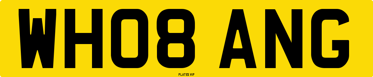 WH08 ANG Number Plate