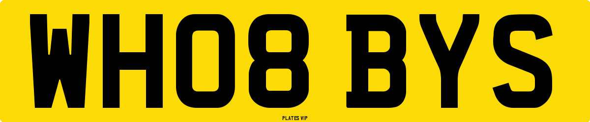 WH08 BYS Number Plate
