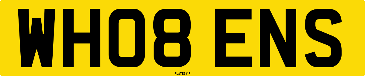 WH08 ENS Number Plate