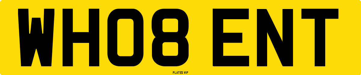 WH08 ENT Number Plate